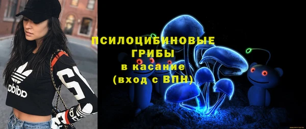 ПСИЛОЦИБИНОВЫЕ ГРИБЫ Инта